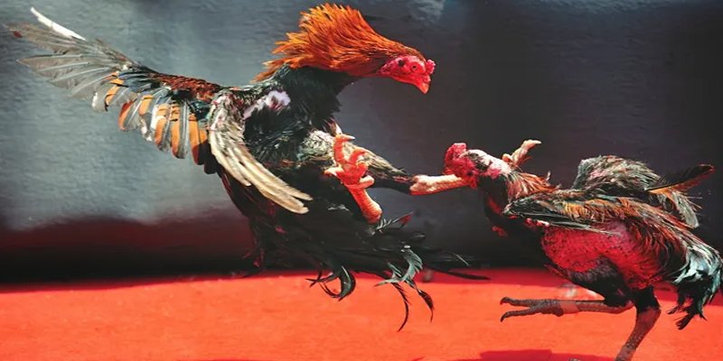 az24 đăng nhập nổ hũ số 1