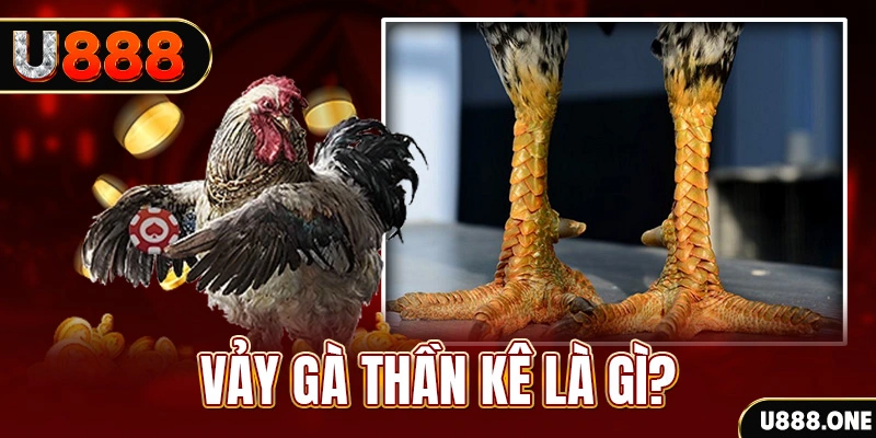 az24 xổ số miền bắc thứ tư hàng tuần