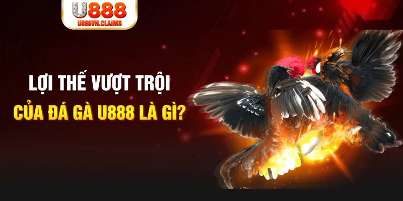 az24 888 slot là gì